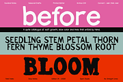 Penlore - Typeaface with 11 fonts, a Handwritten Font by VP Fonts (Thumbnail 4 of 23)