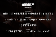 Audrey Font, a Serif Font by PutraCetol Studio (Thumbnail 9 of 10)