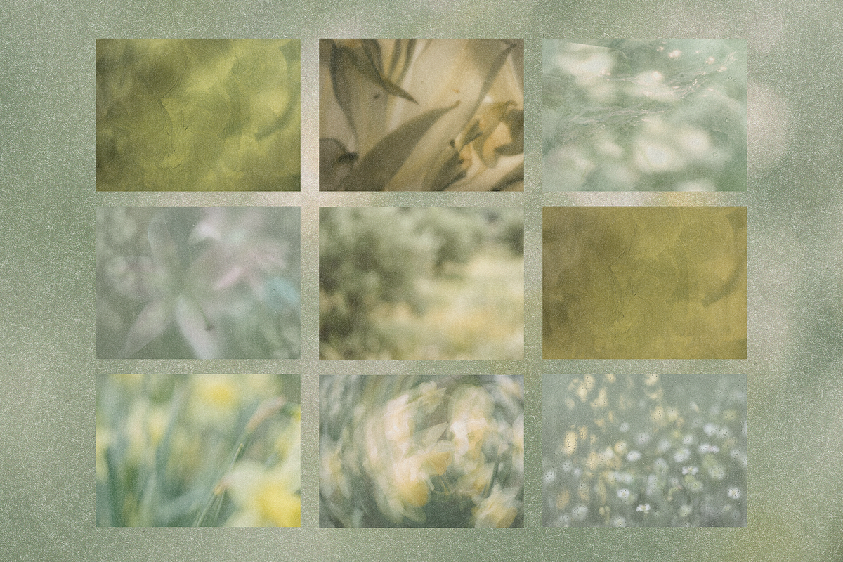 Sage Reverie, a Background Graphic by Lilithcollageart (Photo 6 of 9)