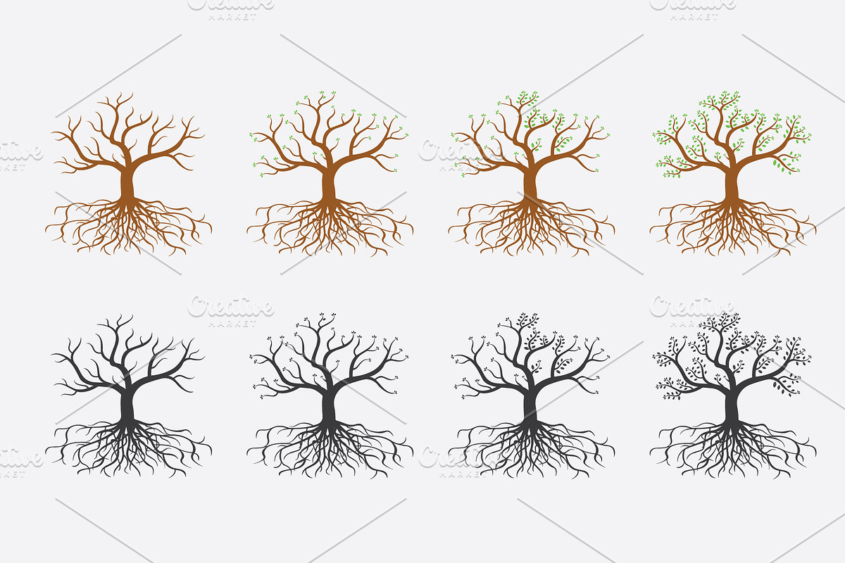Growing leaves with roots, an Illustration by Toufiqul