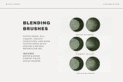 Water Theory | Procreate Brushes, a Brush Add-On by Fins and Fiction (Thumbnail 7 of 9)