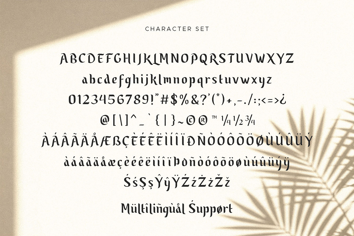 Yuzarsif - Modern Serif Font, a Serif Font by tkzgraphic (Photo 4 of 10)