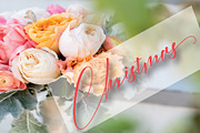 Knightley, a Script Font by PollemSt (Thumbnail 8 of 9)