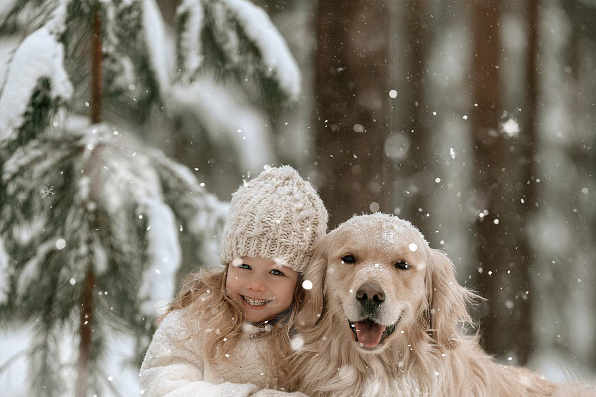 20 Snow Photoshop Brushes, a Brush Add-On by Walllow Creatives (Photo 3 of 7)