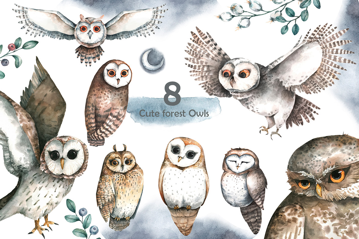Cute forest owl. Wildlife watercolor, an Animal Illustration by Ann Art Houze (Photo 4 of 10)