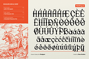 Bonjgure | Modern Display Serif, a Serif Font by Denustudios (Thumbnail 10 of 11)