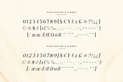 Journey – Aesthetic Serif Font, a Serif Font by Hamz Studio (Thumbnail 19 of 20)