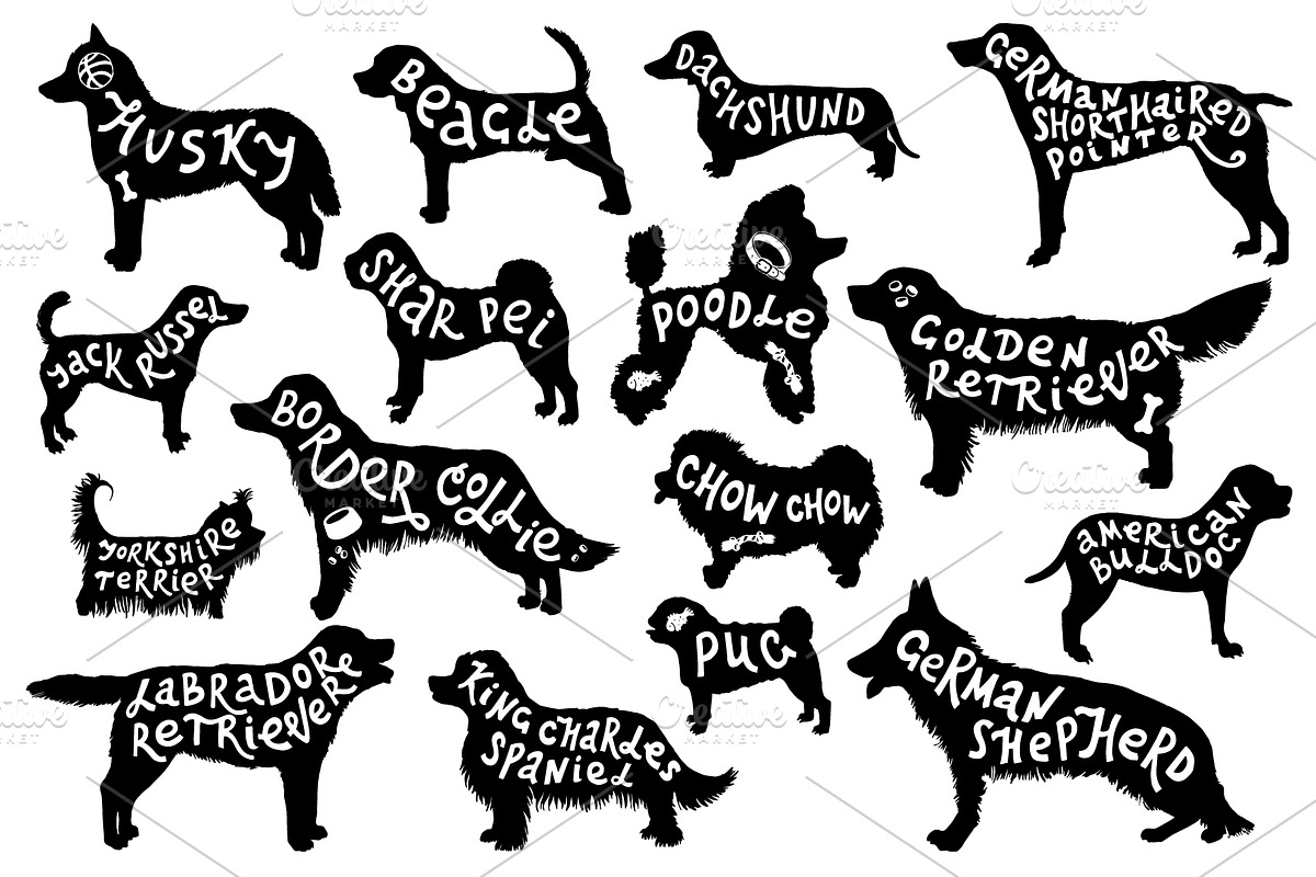 Dog breeds - sketches & lettering, an Animal Illustration by handsketched