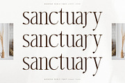 Harfterd Modern Serif Font, a Serif Font by Letterena Studios (Thumbnail 3 of 15)