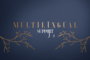 Explorers - Serif font + Extras, a Serif Font by VP Fonts (Thumbnail 9 of 12)