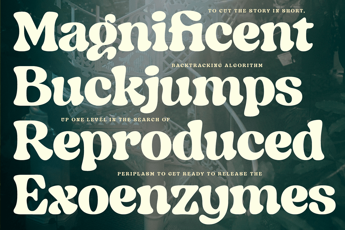 Indigo Sky - Retro Serif, a Serif Font by Fenotype (Photo 10 of 15)