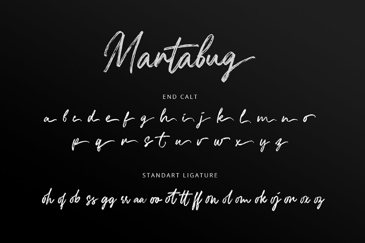 Martabug - Handwritten Brush Font, a Script Font by overlaytemplates (Photo 5 of 6)