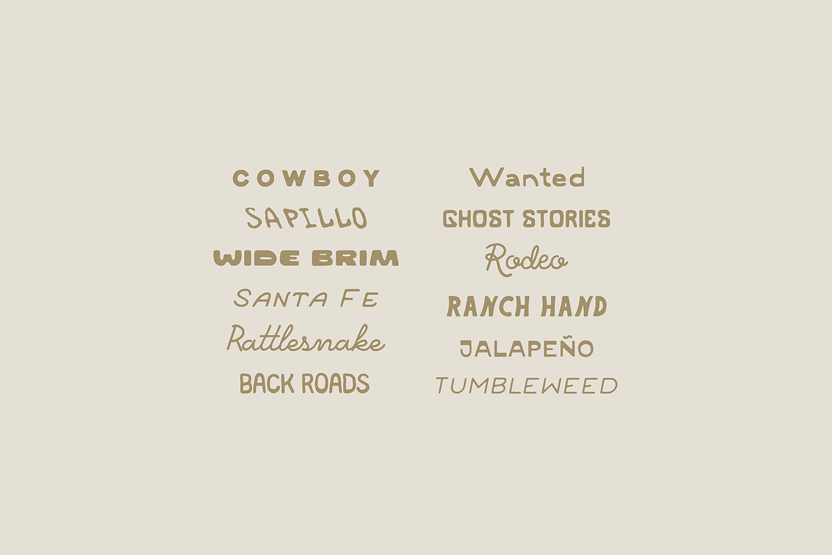 The Western Font Bundle, a Sans Serif Font by MEG BURK CHOI (Photo 4 of 4)