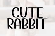 Vintage Bunny, a Script Font by InermediaSTUDIO (Thumbnail 7 of 8)