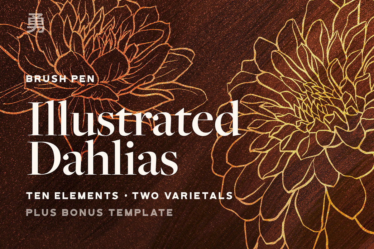 Illustrated Dahlias, a Decorative Illustration by Yung (Photo 1 of 3)