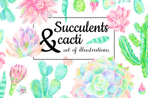 Succulents and cacti in PNG