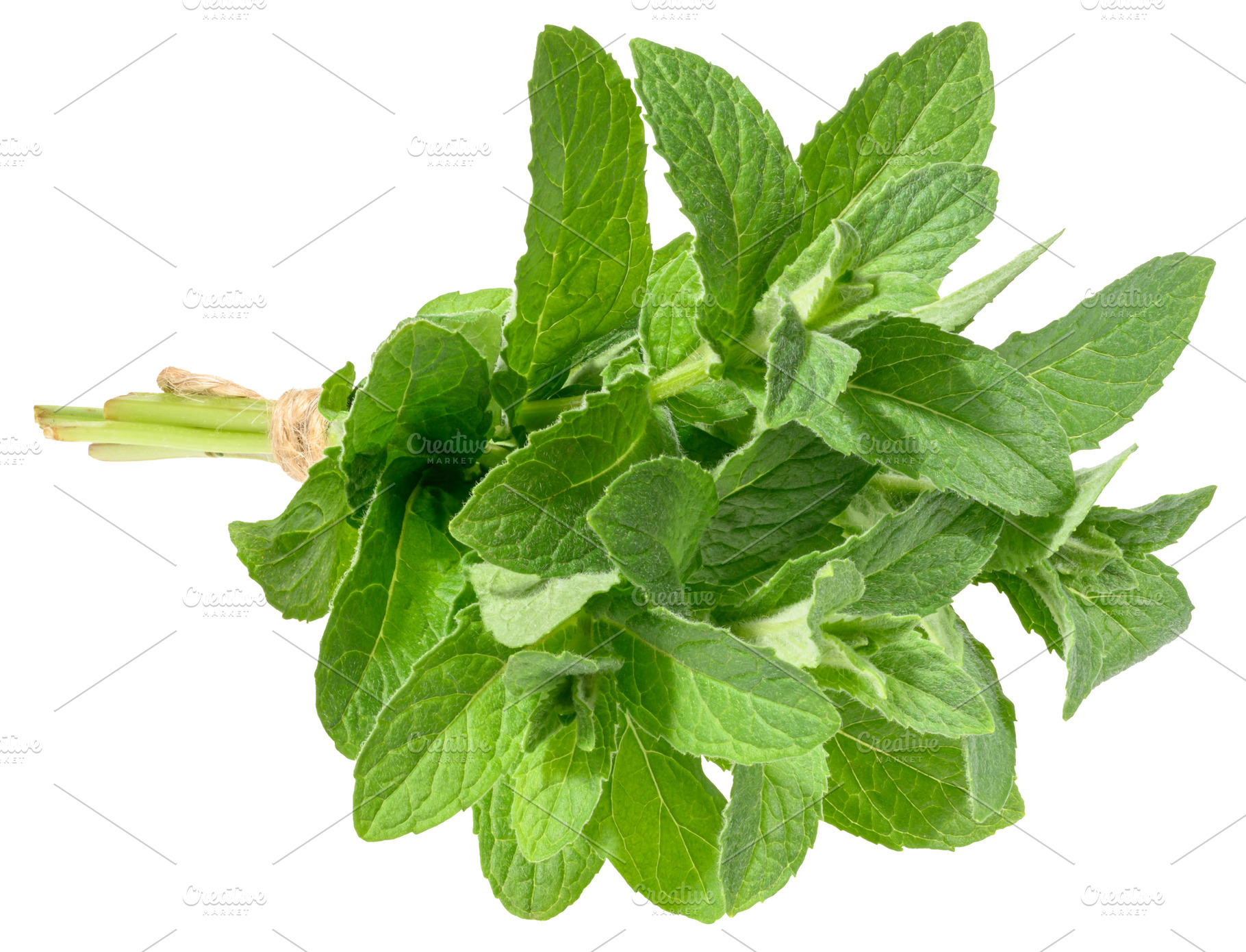 Mint sprigs tied with rope on isolated background, a Food & Drink Photo by ndanko