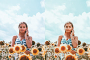 5 Sunflower Lightroom Presets, a Preset Add-On by TheWayfarerShoppe (Thumbnail 4 of 7)