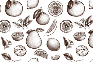 Vintage Citrus Fruits Collection