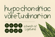 Vioncra, a Handwritten Font by graphicook (Thumbnail 7 of 10)