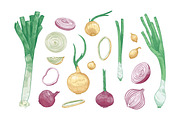 Onion set and seamless pattern, a Food Illustration by Good Studio (Thumbnail 2 of 7)