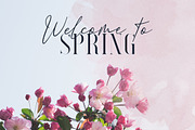 Searchlight - font trio, a Script Font by VP Fonts (Thumbnail 3 of 11)