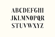 Monarch Paradox Vintage Serif Font, a Serif Font by UICreative (Thumbnail 5 of 13)