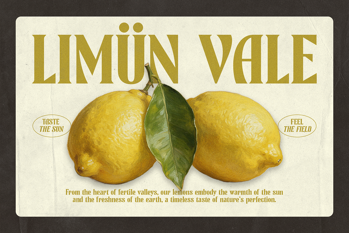 Berguna - A Serif Display Typeface, a Serif Font by Mbonster Design Studio (Photo 4 of 10)