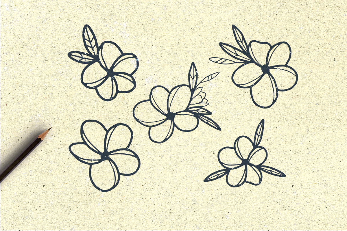 Hand Drawn Plumeria, an Illustration by By Kerri Ann (Photo 2 of 2)