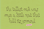 Perfect Sprouts | Whimsical Font, a Handwritten Font by type peace (Thumbnail 14 of 20)
