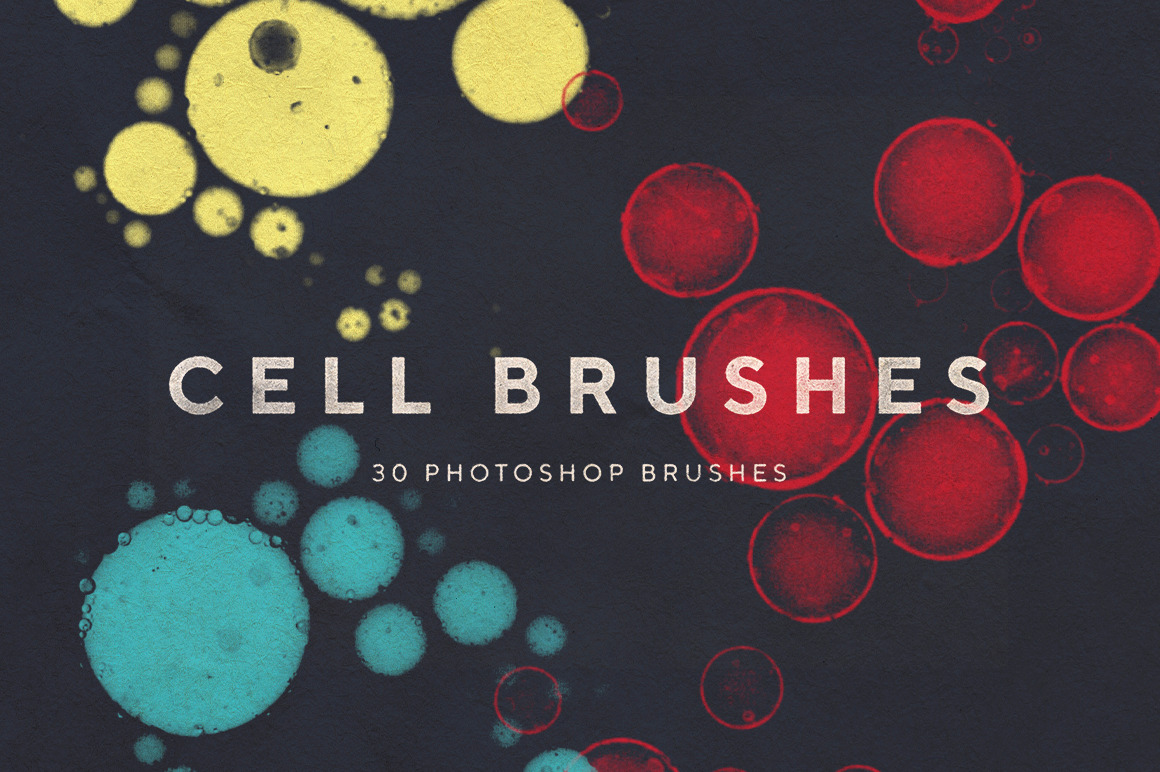 Cell Photoshop Brushes, a Brush Add-On by RuleByArt