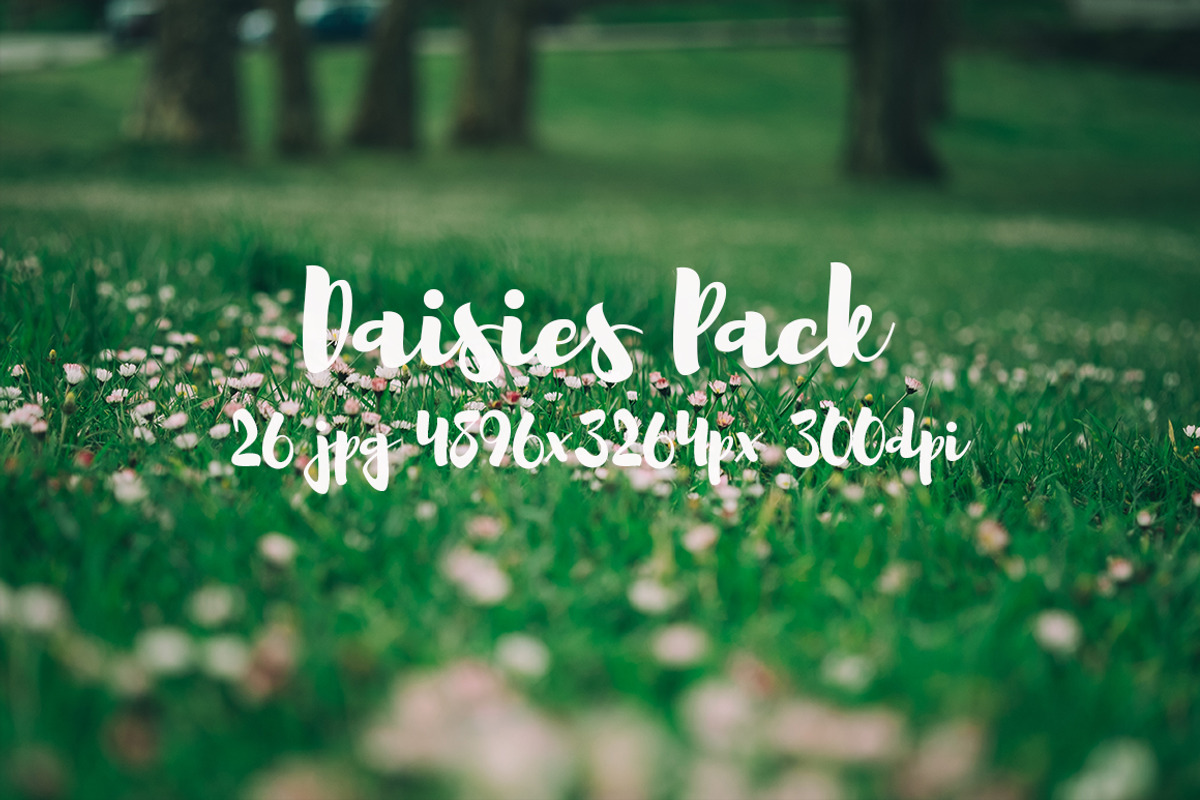 Daisies Pack, a Templates & Theme by ApertureVintage (Photo 4 of 14)