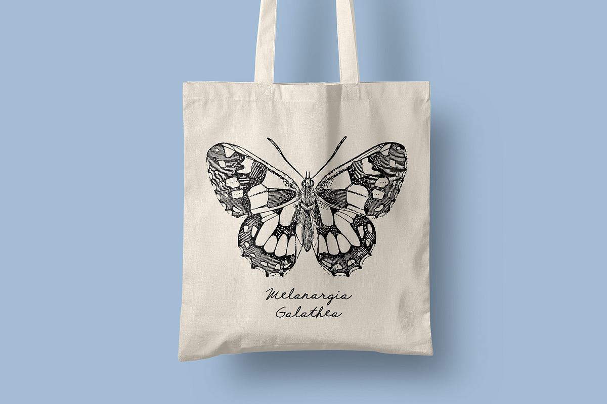 Insects - Vintage Illustrations, an Illustration by Graphic Goods (Photo 8 of 10)