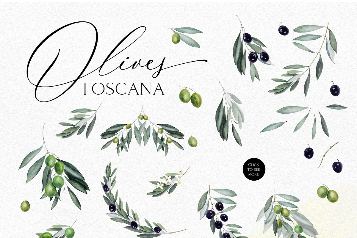 Toscana Olives Greenery, a Food Illustration by Olga Koelsch (Photo 11 of 13)