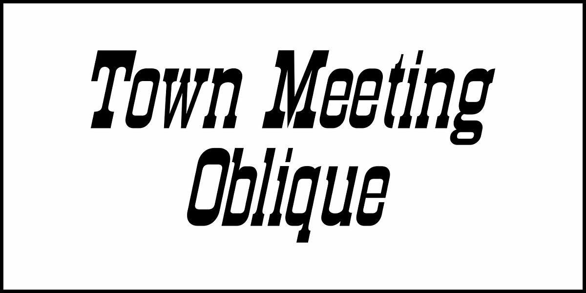 Town Meeting JNL, a Slab Serif Font by Jeff Levine Fonts (Photo 4 of 5)