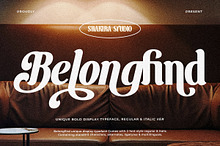 BelongFind - Display Serif