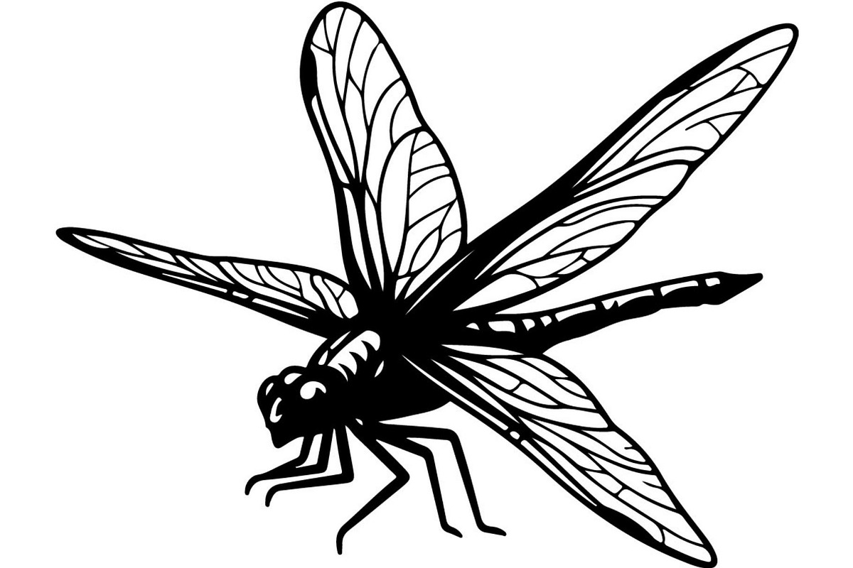 20 Dragonfly Silhouette Mega, an Object Graphic by Designer_Momina (Photo 2 of 19)