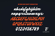 Best-sellers Vibe Fonts Bundle, a Script Font by Struvictory.art (Thumbnail 13 of 18)