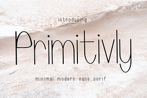 Primitivly Minimal Modern Sans Serif