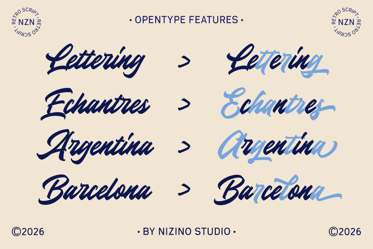 NZN Magnusa - Bold Script Font, a Font by Nizino Studio (Photo 4 of 11)