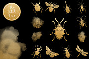 Beetles & Bugs Clipart Set, an Animal Illustration by The Dutch Lady Designs (Thumbnail 4 of 6)