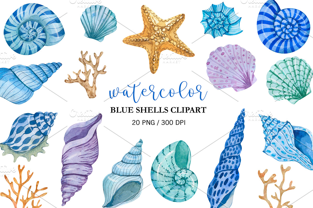 Watercolor Blue Sea Shells Clipart