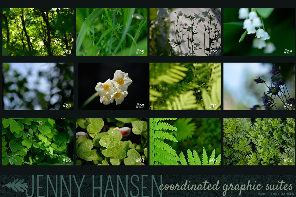 Photo Bundle: Mysterious Foliage, a Texture Graphic by Jenny Hansen Suites (Photo 4 of 5)