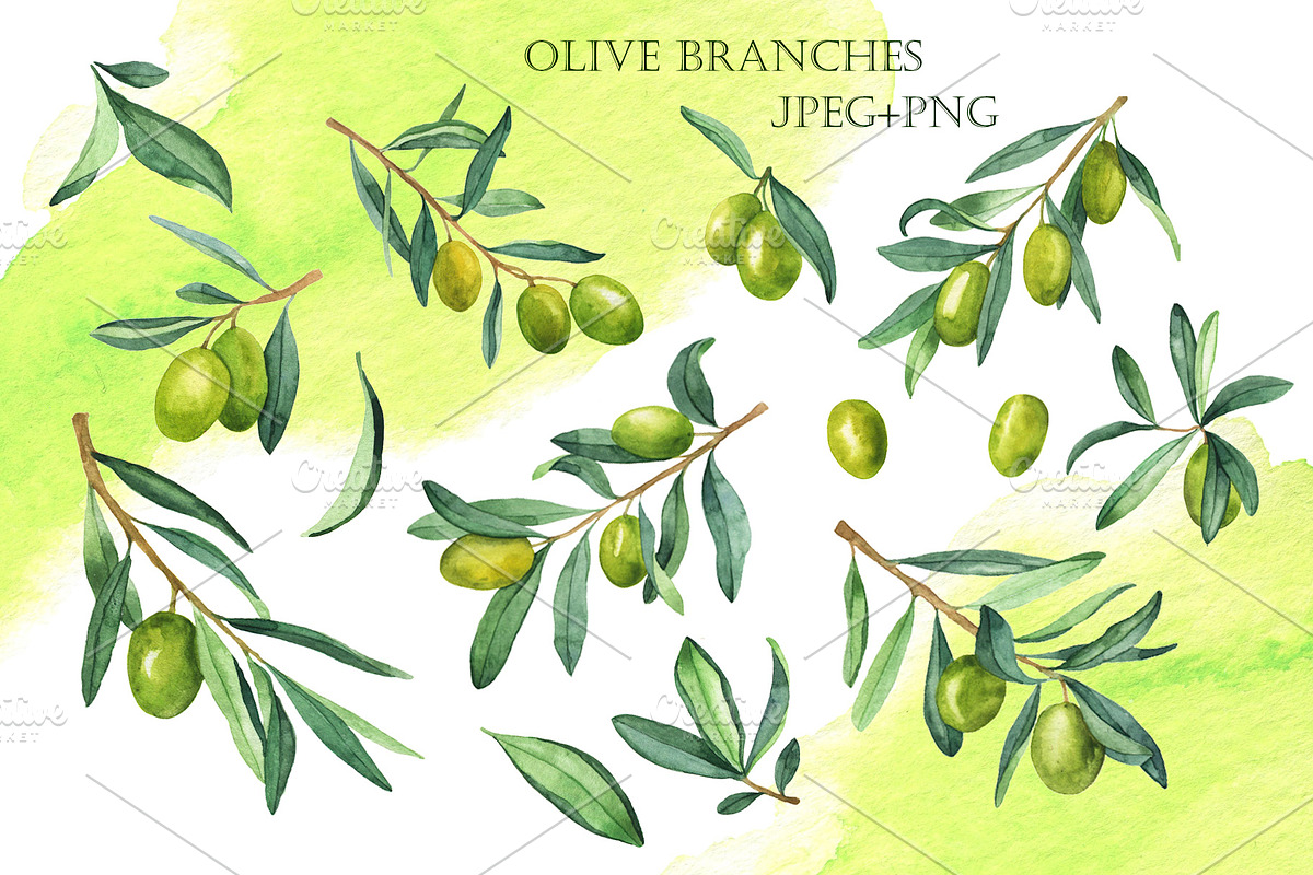 Watercolor olives, an Illustration by Watercolor & sketches (Photo 2 of 7)