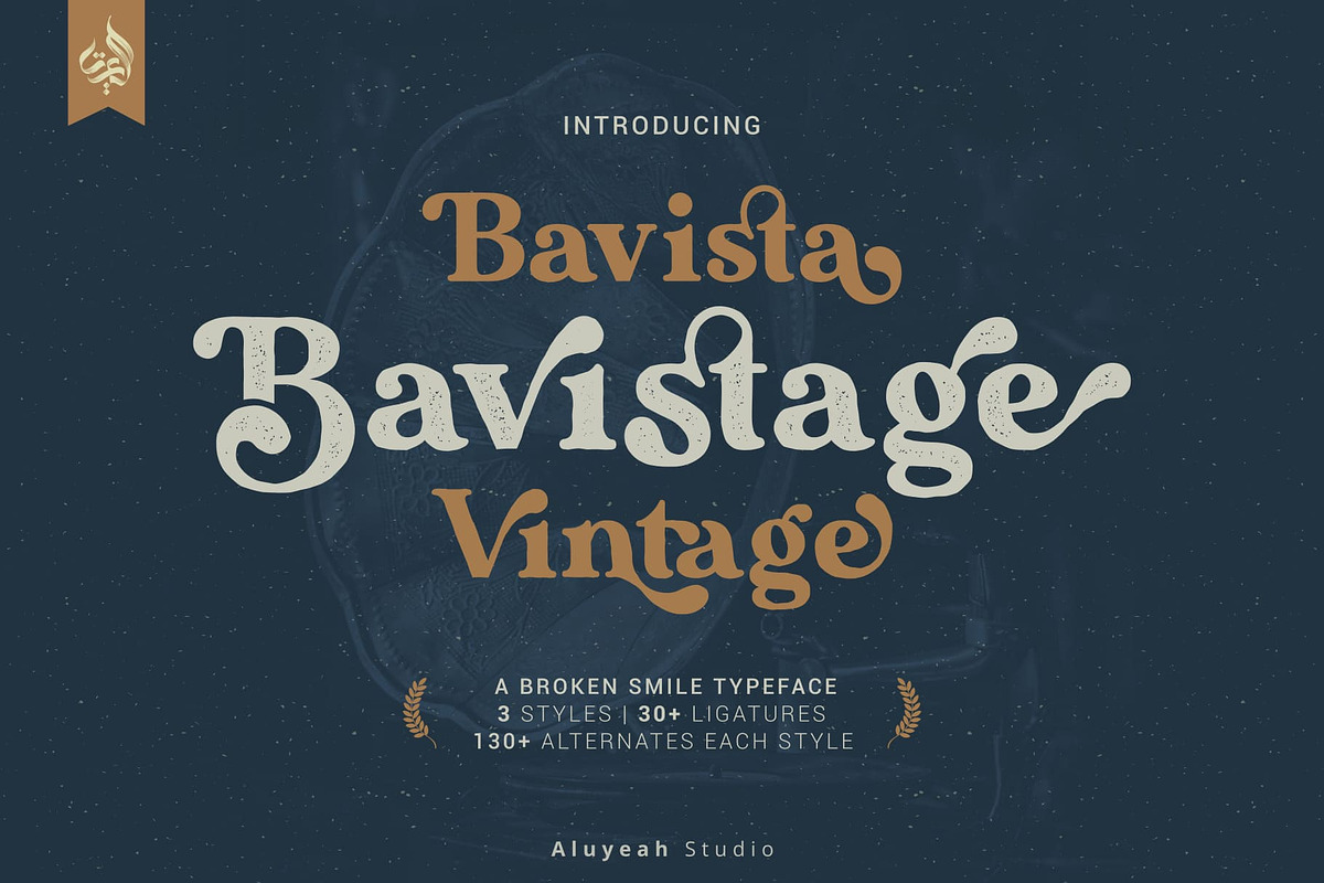 Bavistage, a Serif Font by Aluyeah Studio (Photo 1 of 15)