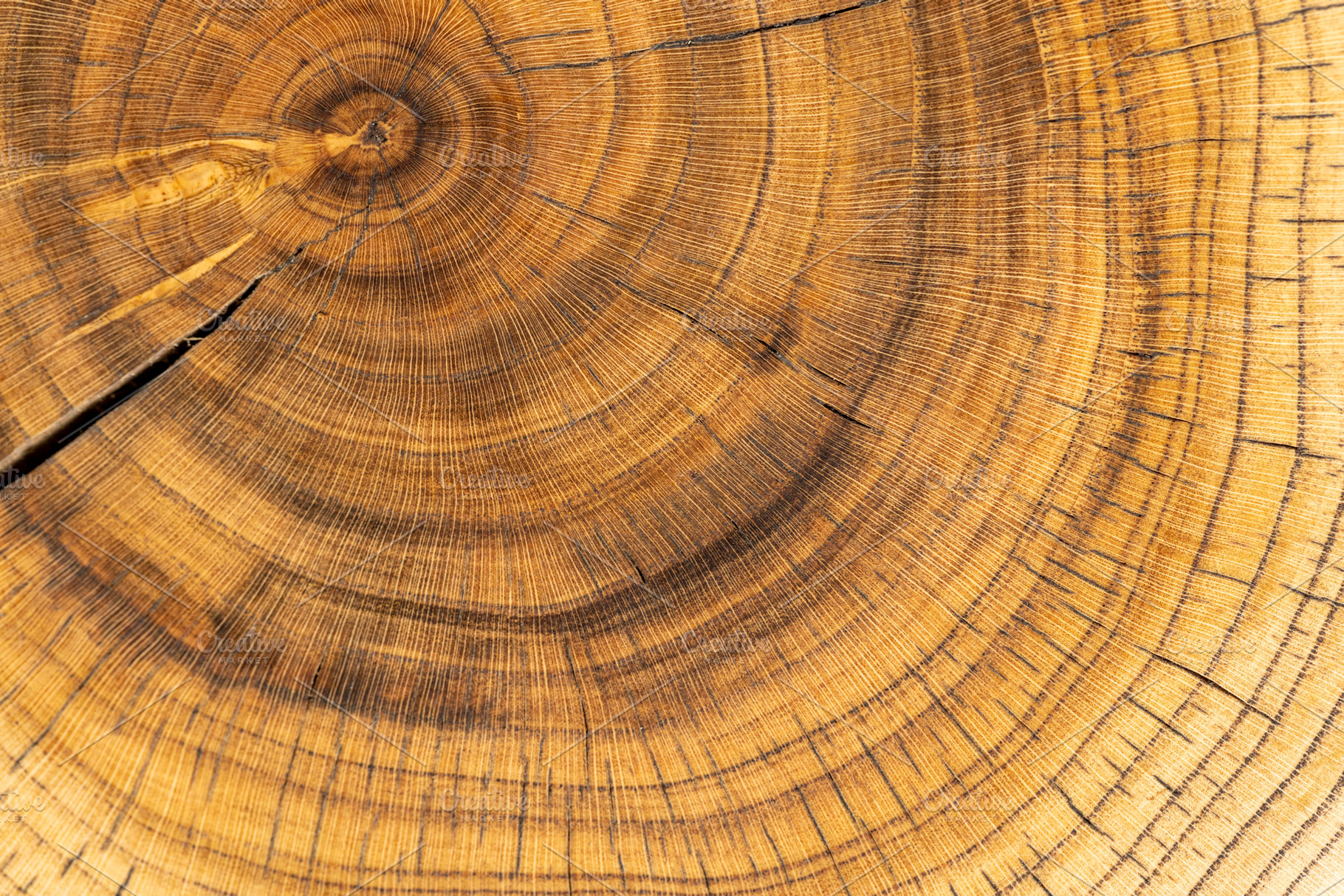 processed beautiful walnut wood used for the manufacture of objects, a Photo by rsoollAI
