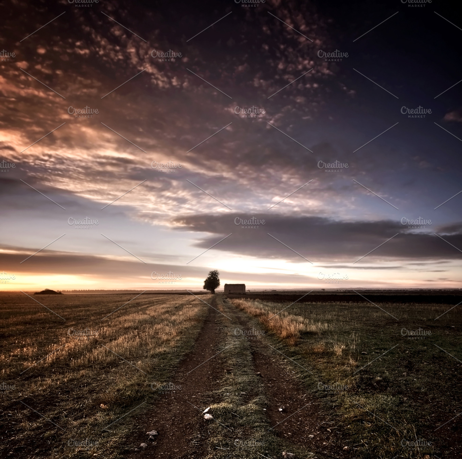 Sunset In Spanish Fields Containing Courses Spanish Courses And Sunset