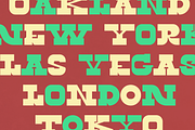 Twin Lakes Display Font, a Font by Holt510 (Thumbnail 2 of 11)