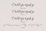Shanti Script, a Script Font by Areatype (Thumbnail 8 of 8)