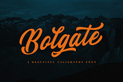 Bolgate - Script, a Script Font by ARSAVISUAL (Thumbnail 8 of 12)